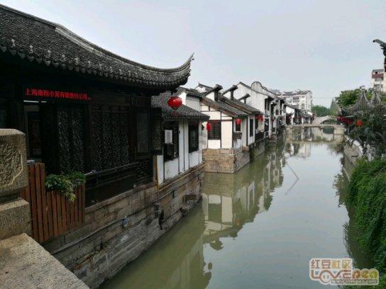 夏天吃什么能润肺清肺-冷知识分享平台